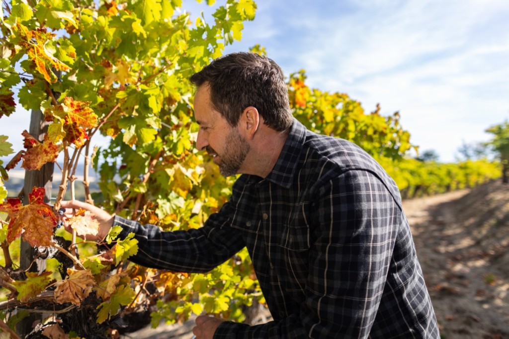Conversations in the Vineyard