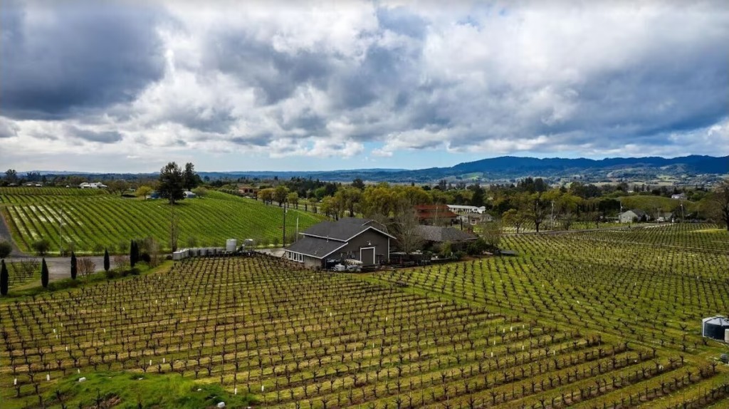 The Farmhouse at Limerick Lane Cellars