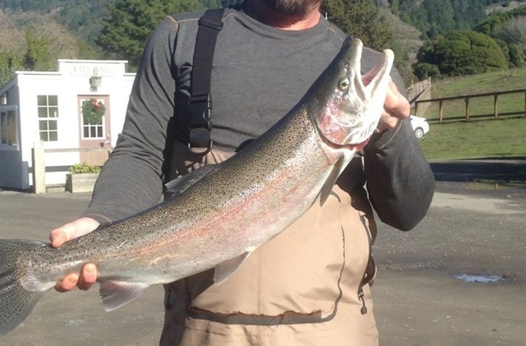 A fish caught at Casinia Ranch Campground
