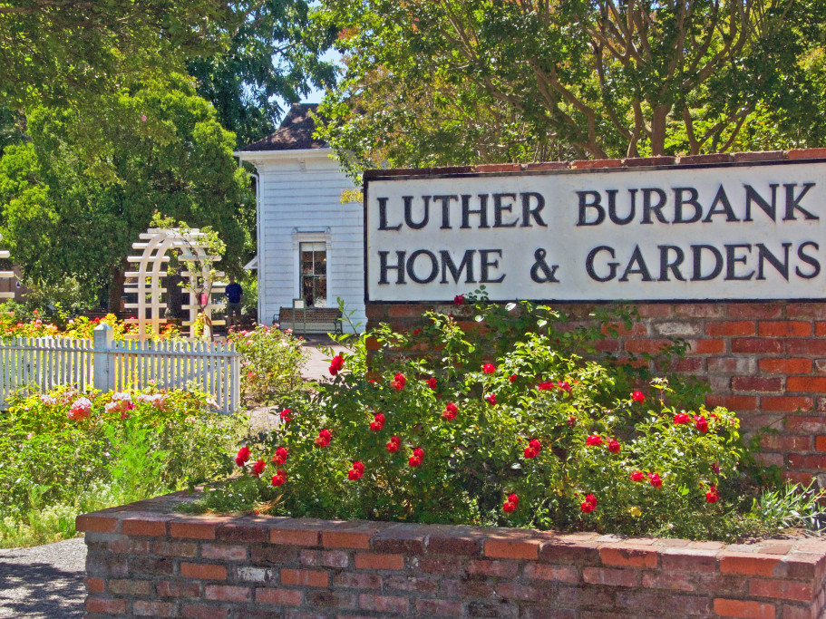 Luther Burbank Home & Gardens – Sonoma County Tourism