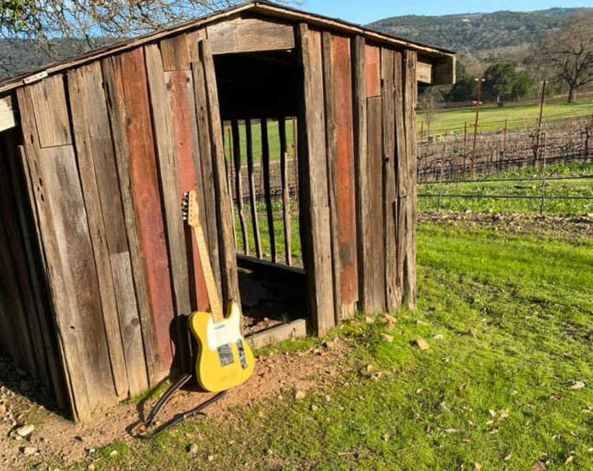 Little Vineyards Guitar and Shed