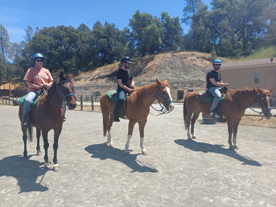 WellFound Experiences