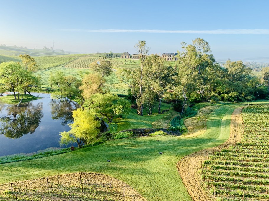 Enjoy unparalleled views of Sonoma Wine Country