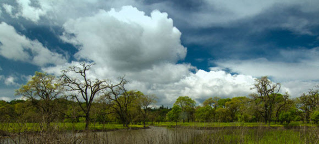 Laguna de Santa Rosa