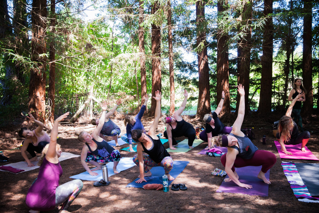 Yoga in the Grove at Horse & Plow Tasting Room