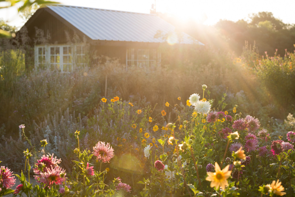 Visit the farm and taste wines in our cottage surrounded by organic gardens.