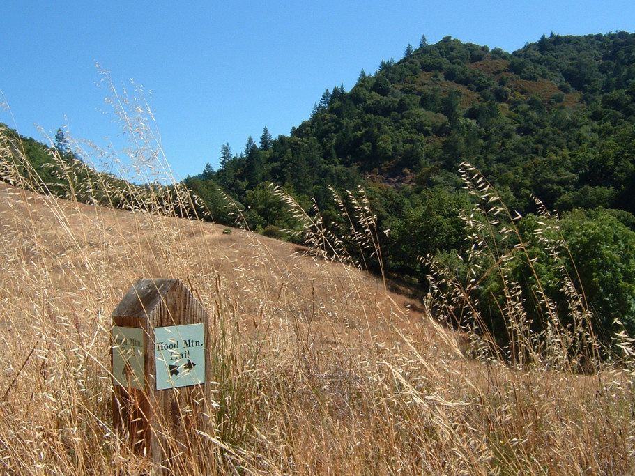Hood Mountain Regional Park and Open Space Preserve