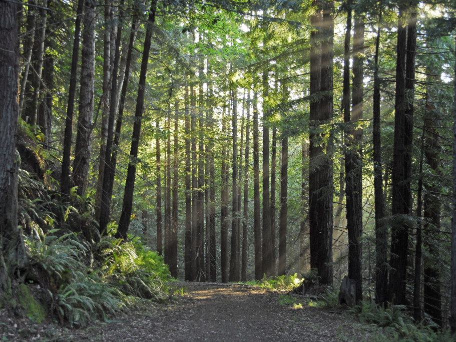 Jenner Headlands Preserve
