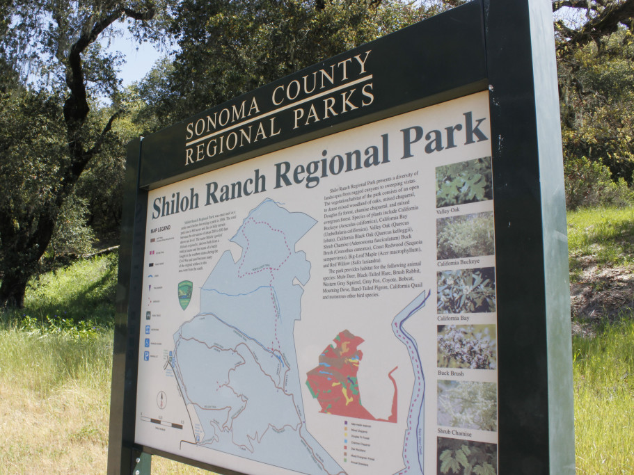 Shiloh Ranch Regional Park