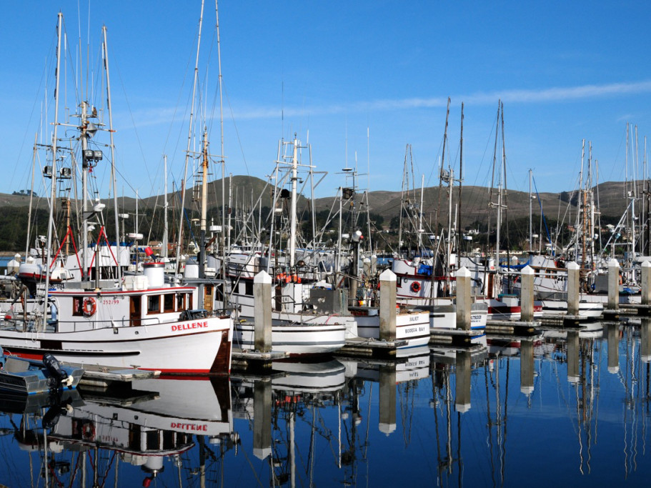 Harbor Bay Marina and The Fishing Spot