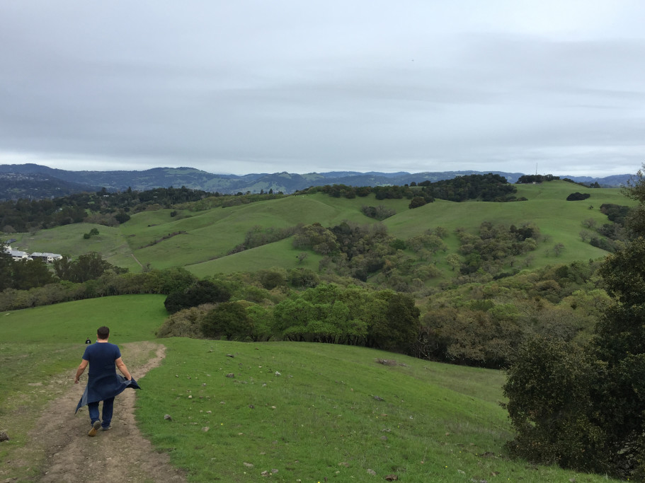 Taylor Mountain Regional Park and Open Space Preserve