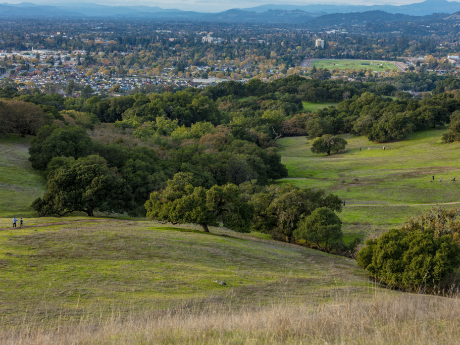 Views of Santa Rosa from Taylor Mountain