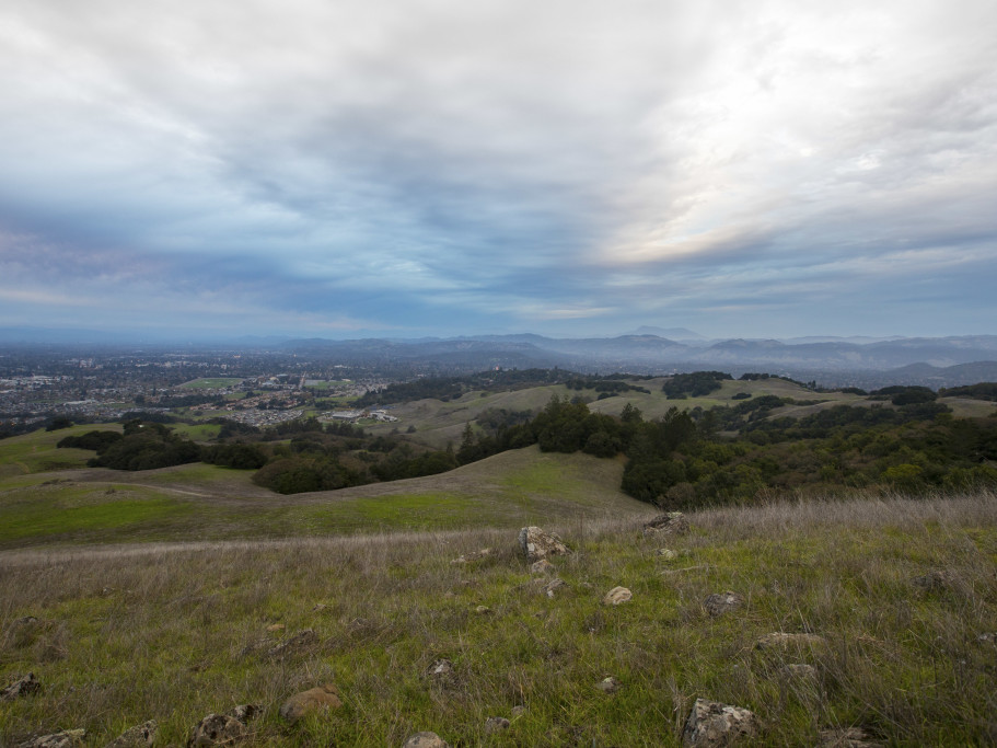 Taylor Mountain Regional Park and Open Space Preserve