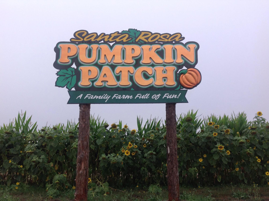 The Santa Rosa Pumpkin Patch