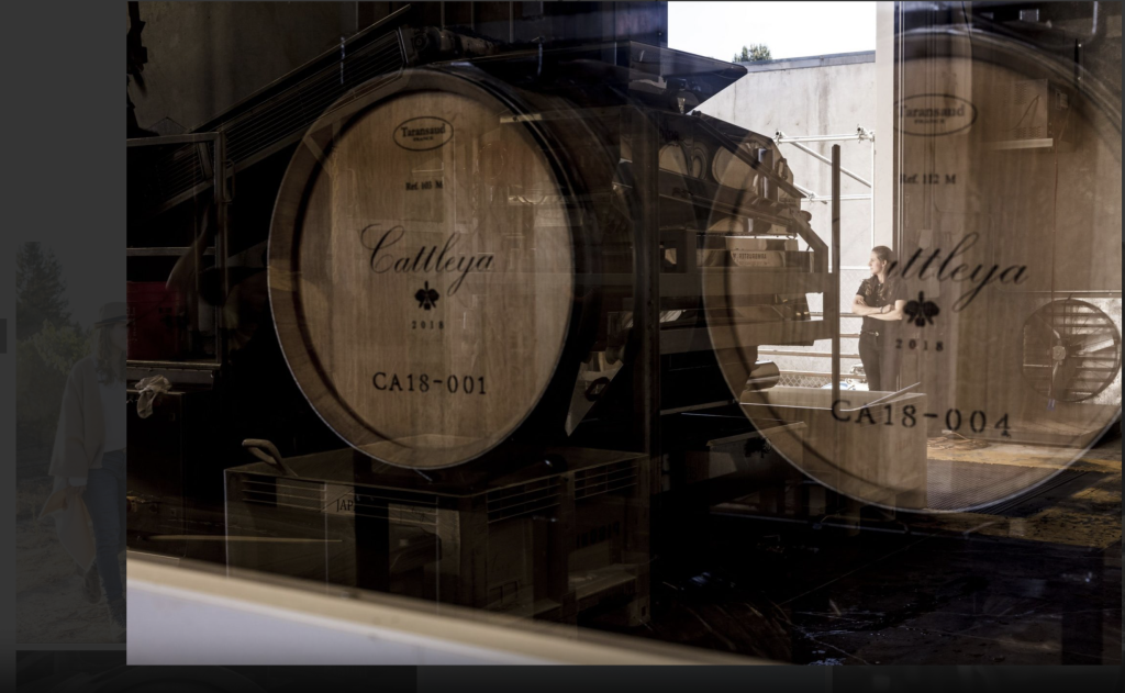 Barrels - Wine Barrels