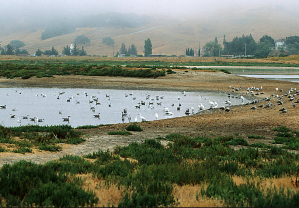 Shollenberger Park