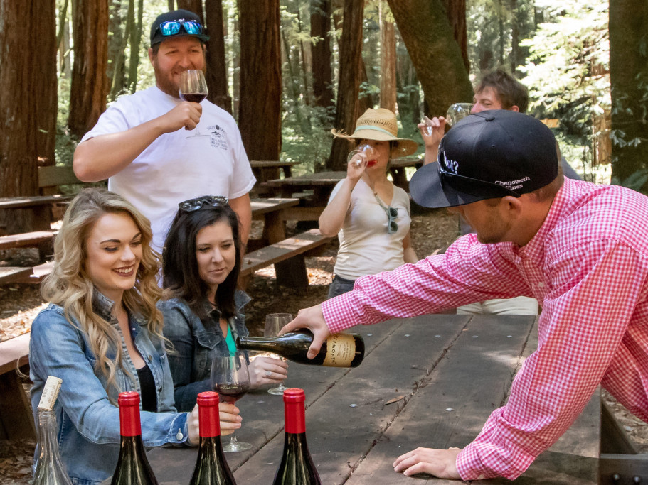 Tasting under the redwoods