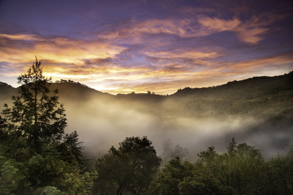 Sunset Views at Fitch Mountain Lookout