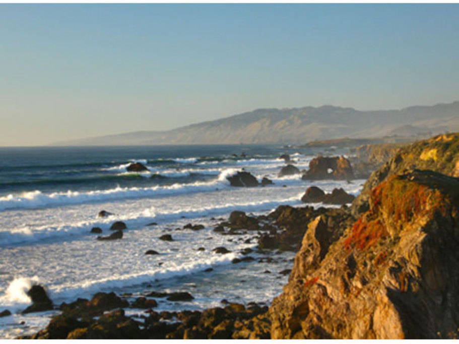 Sonoma Coast State Park