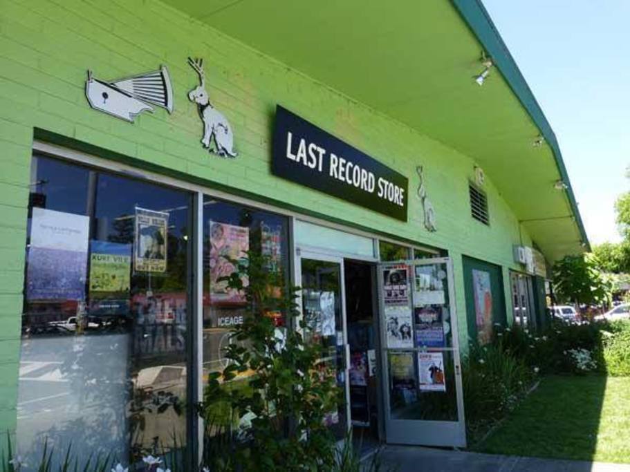 The Last Record Store