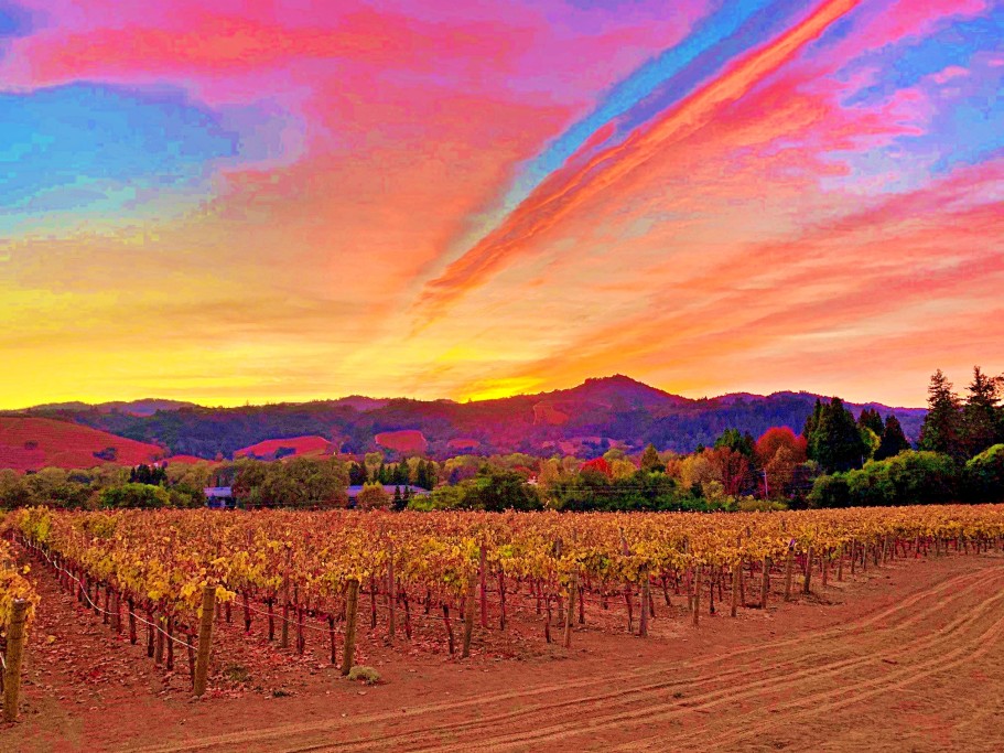 Sunset view at Cast Wines