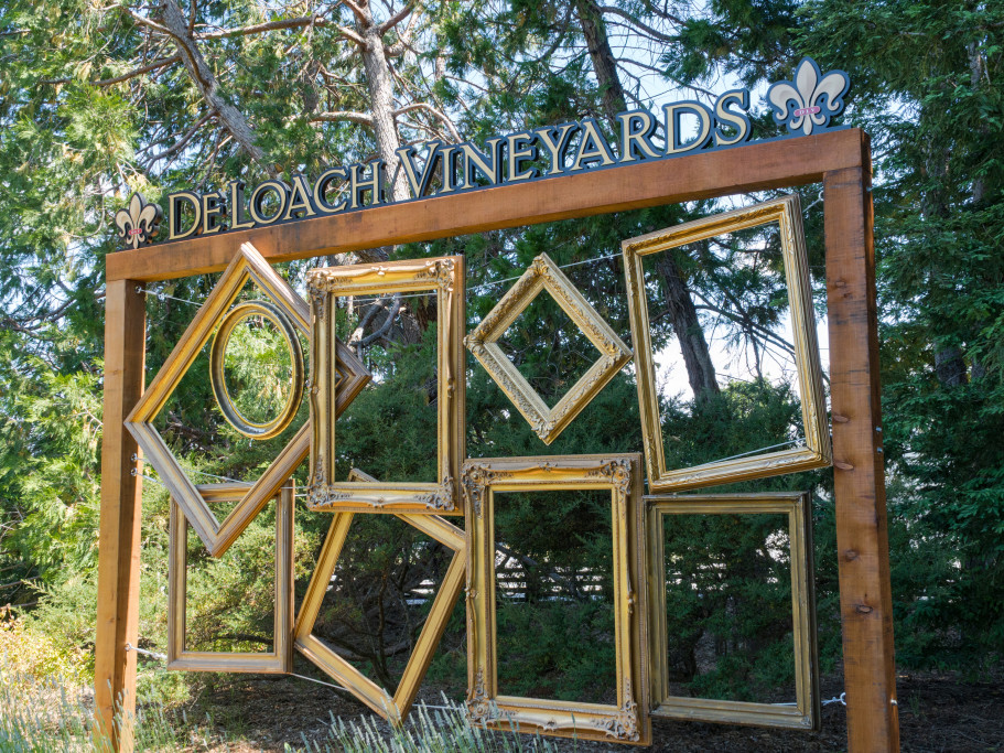 DeLoach Vineyards
