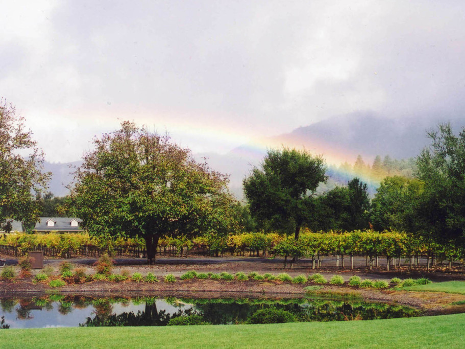 Landmark Vineyards