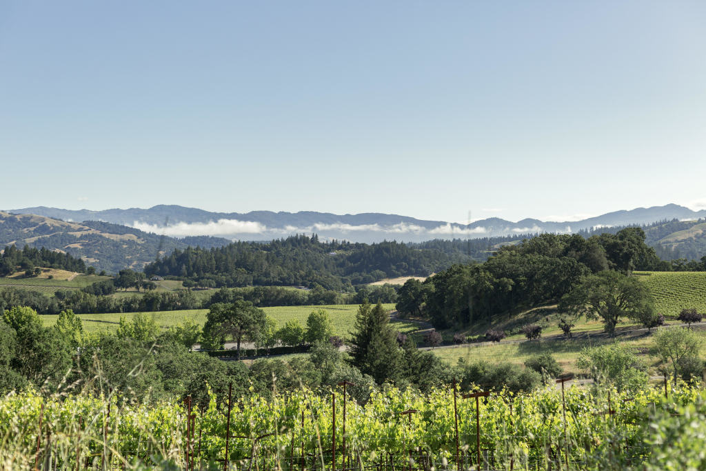 SUTRO at Warnecke Ranch