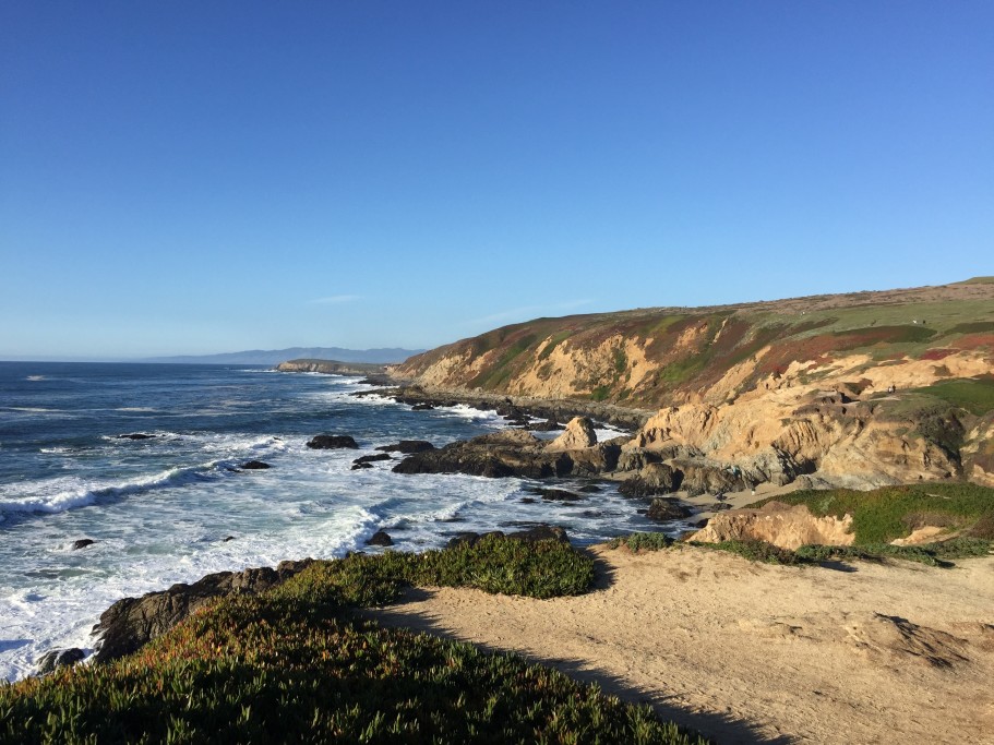 The View from Bodega Head