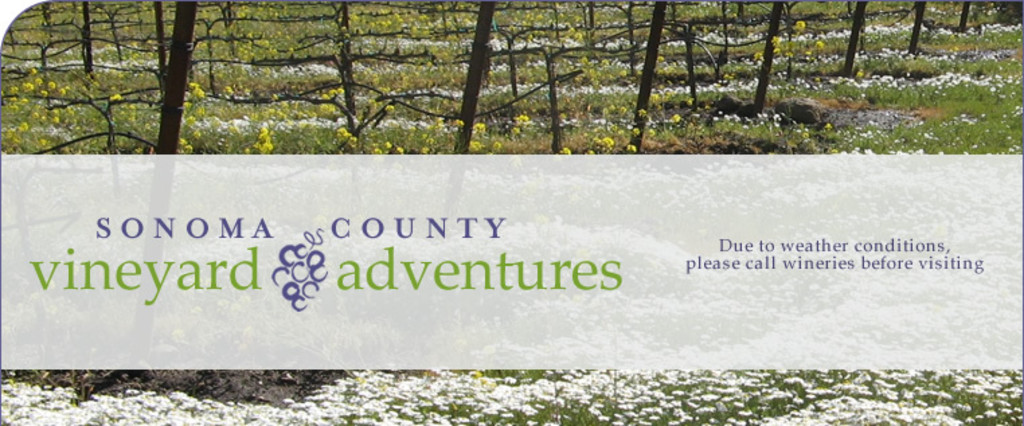 Sonoma County Vineyard Adventures
