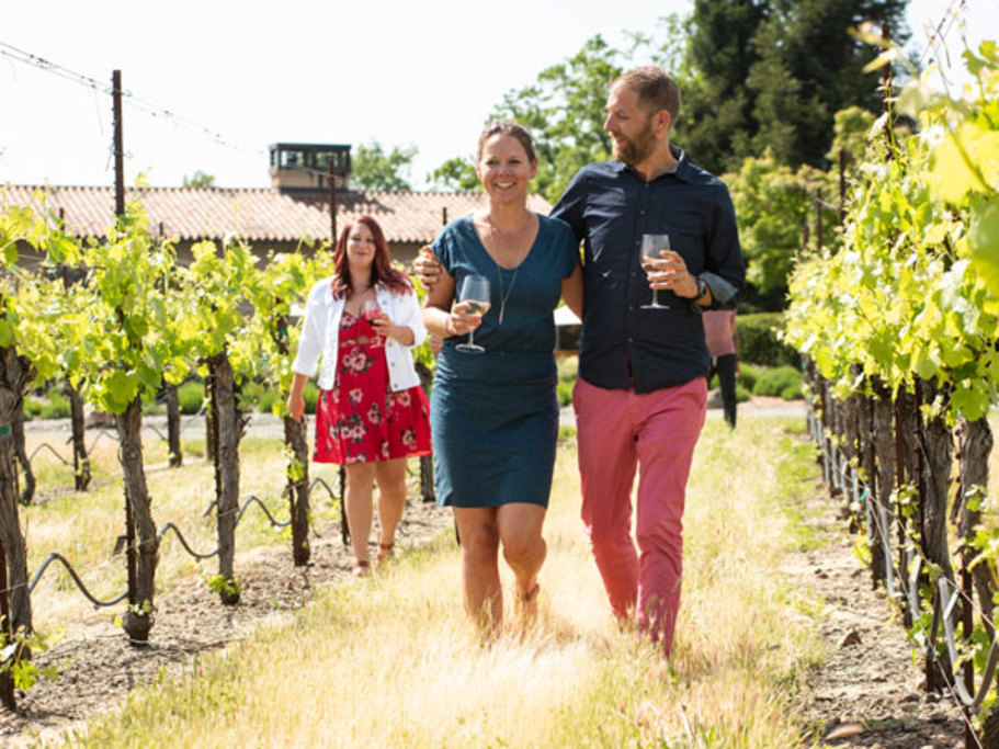 Vineyard Adventures at St. Francis Winery