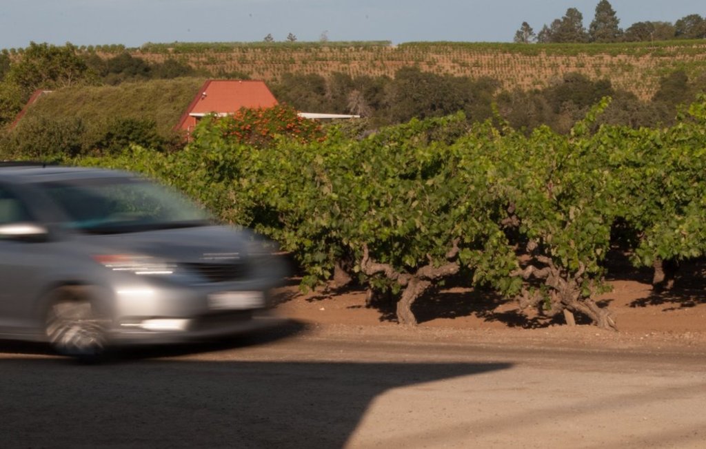 Howling Wine Tours - Old Vines