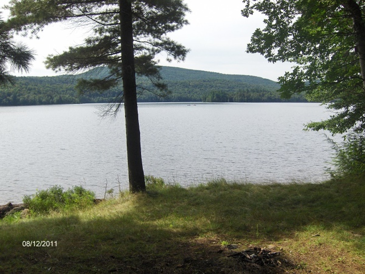 Arnold Lake State Forest