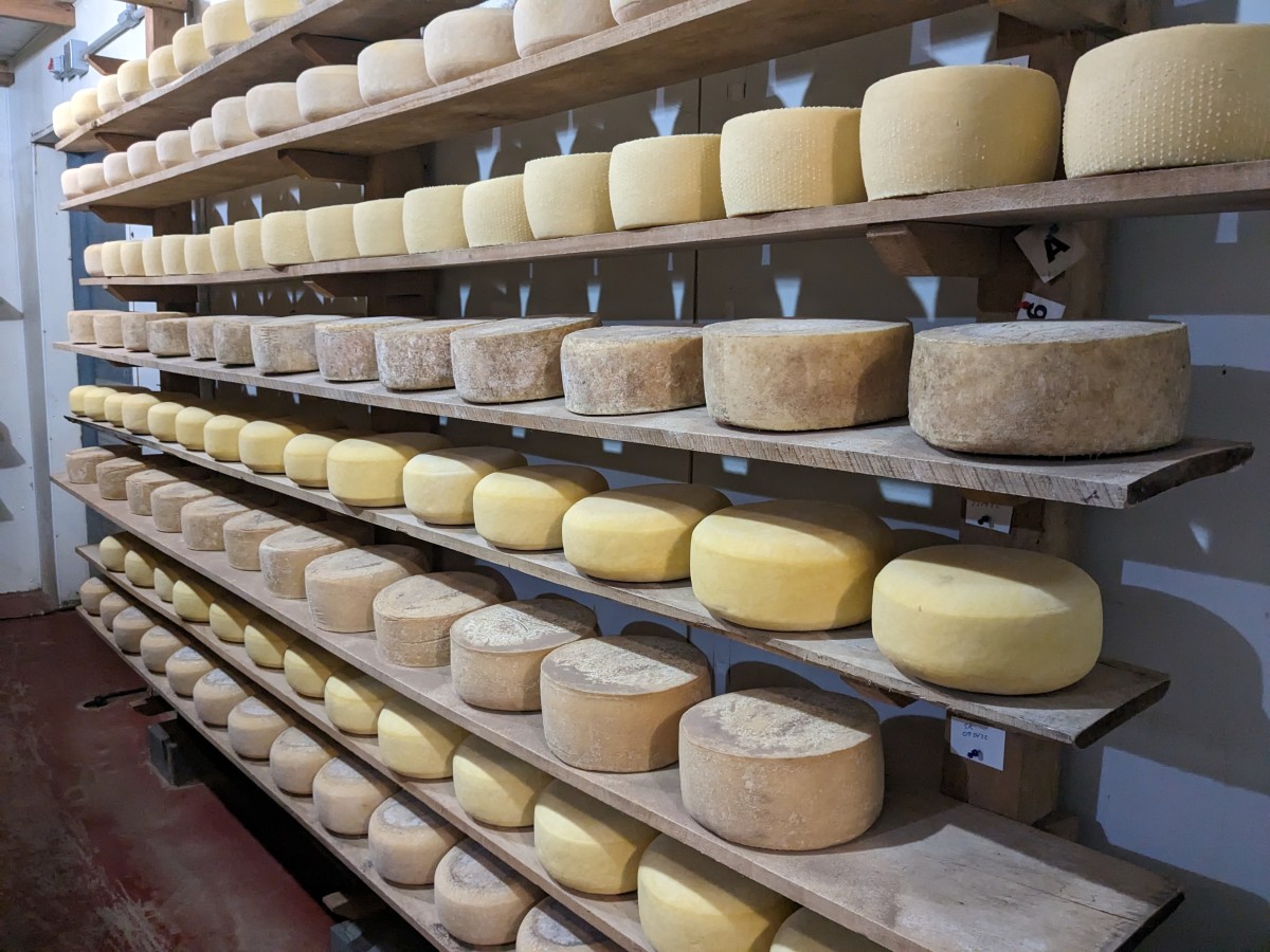 Cooperstown Cheese Company