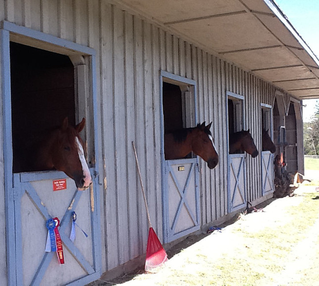 Cooperstown Equestrian Park and Rental Home