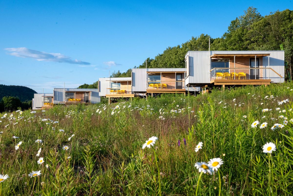 A wide view of design-forward cabins nestled on a hillside of wild daisies. The 166-acre property features wildflower meadows and wild lowbush blueberries instead of manicured lawns.