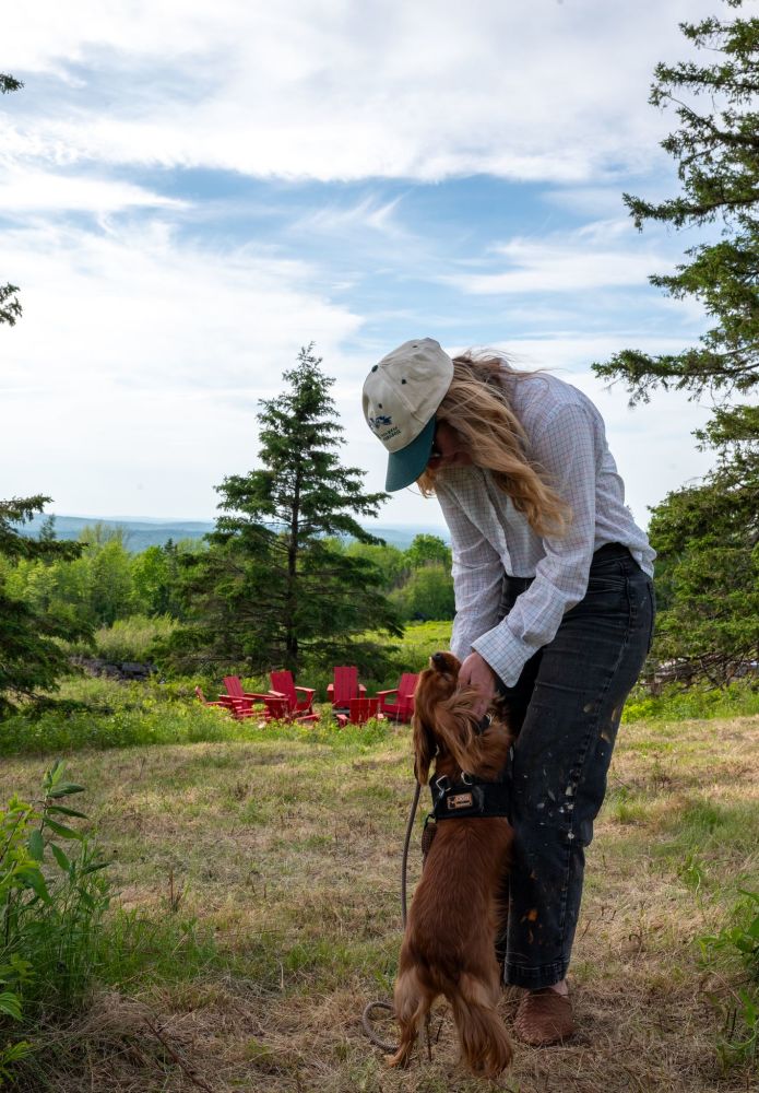 A happy dog playing in the long meadow grass, highlighting our turn-key family and dog-friendly nature getaway experience.