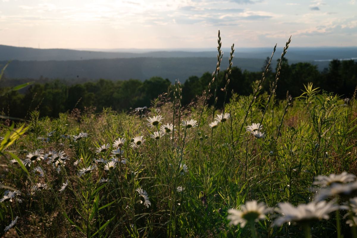 Our 166-acre high-ridge property is designed to feel private, wild, and isolated from neighbors, creating a low-impact natural getaway that gives guests the space to slow down and find inspiration.