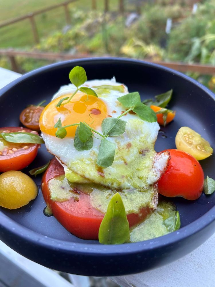 Sample breakfast entre