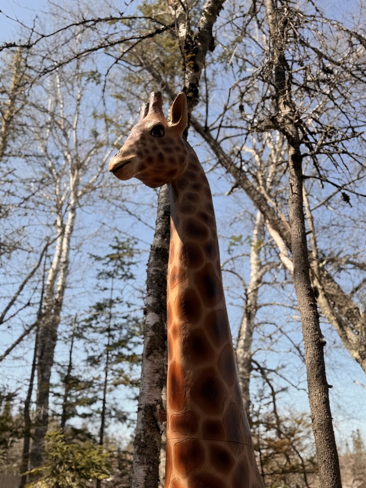 One of our life sized safari animals.