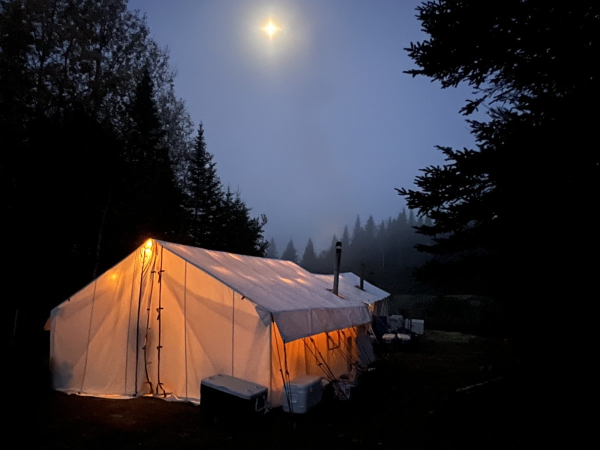 Moose and bird camp located deep in the North Maine Woods