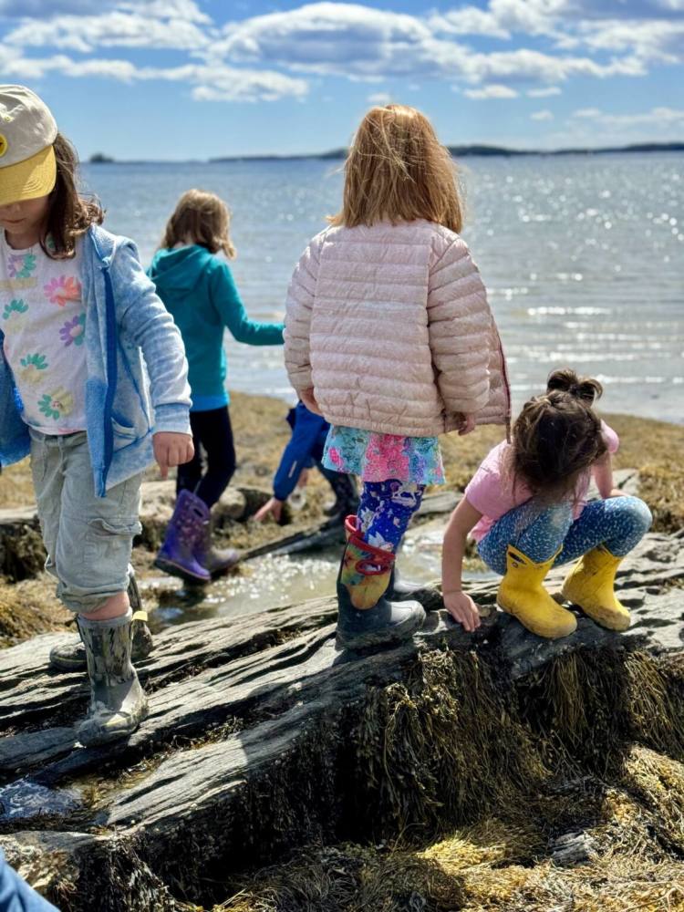 Wolfe’s Neck Center is free and open daily from dawn to dusk. Stroll through our animal barns, wander our free nature trails, or simply enjoy the beauty of our coastal farm. Looking for more to do? Check out our Community Programs for scheduled events.