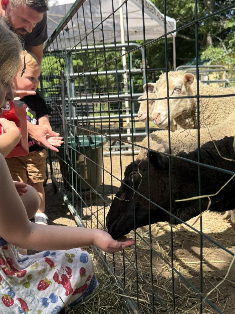 families enjoy feeding our animals during a farm tour!
