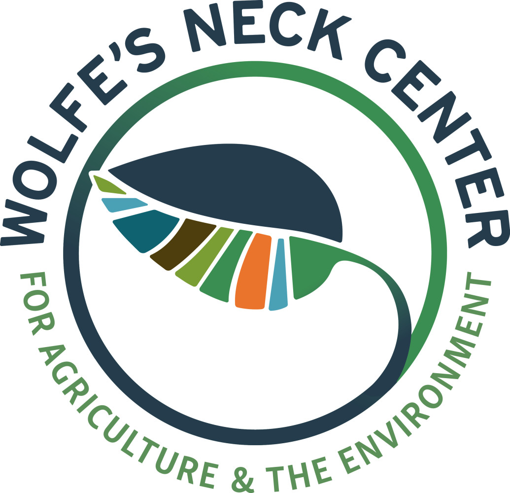 Wolfe’s Neck Center for Agriculture & the Environment is on a mission to create a world where agriculture and food systems support farmer viability, thriving ecosystems, and vibrant communities.