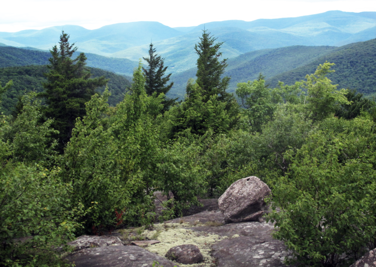 View