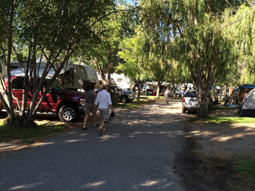 Mississippi Oxbow RV Park: Your Gateway to Delta Charm