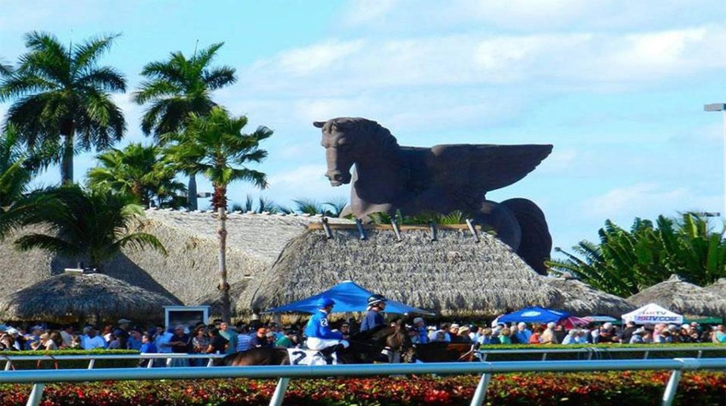 Gulfstream park racing and casino florida