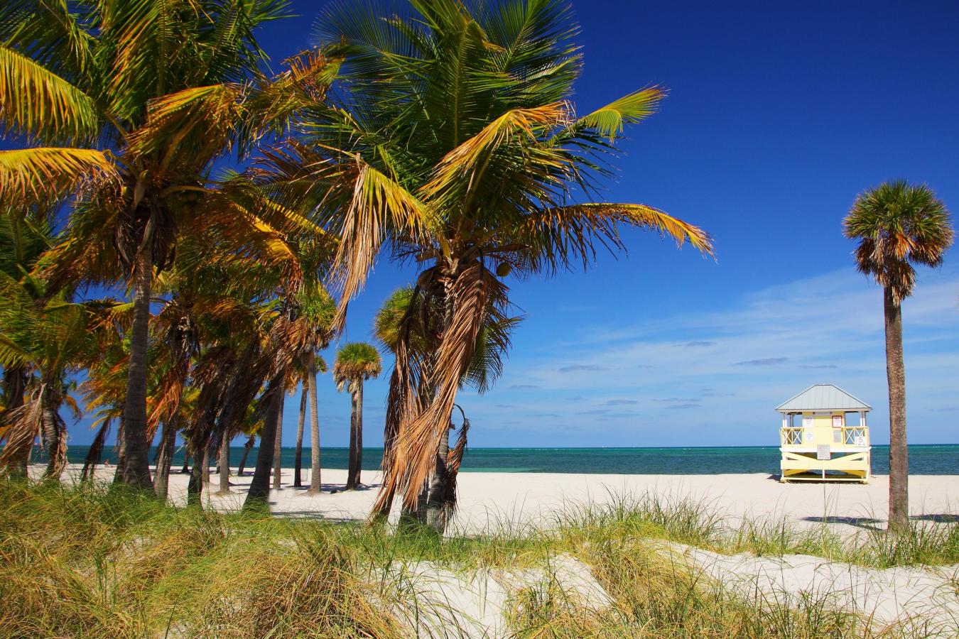 Crandon Park Beach | Greater Miami & Miami Beach