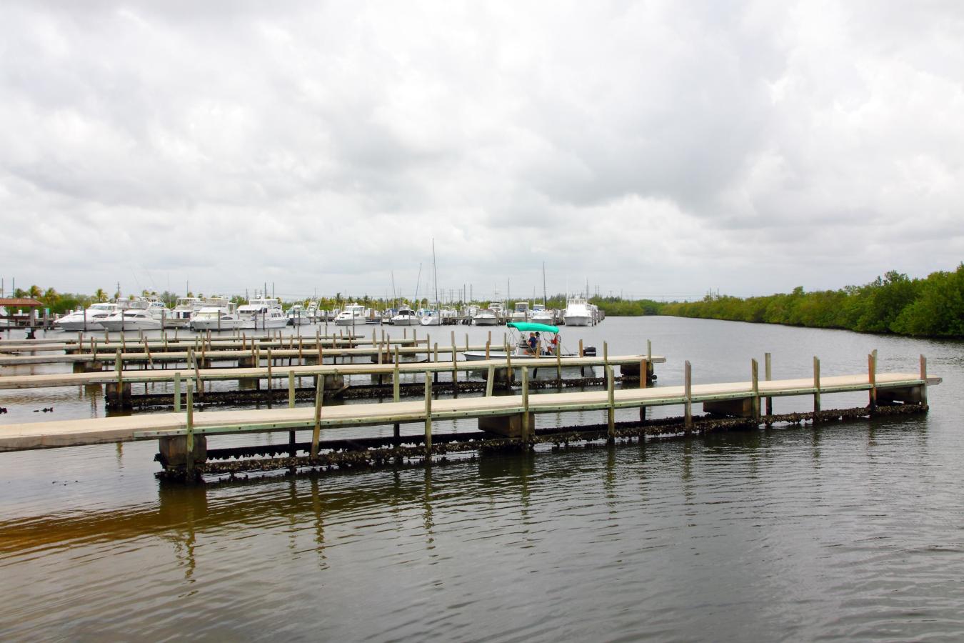 Herbert Hoover Marina At Homestead Bayfront Park In Homestead Florida City Area Fl