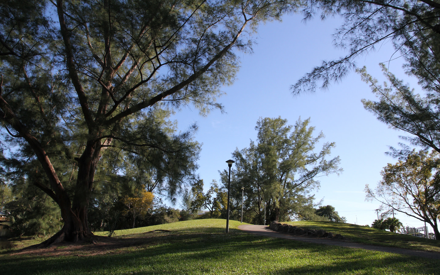 A.D. "Doug" Barnes Park Gran Miami y Miami Beach